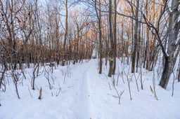 Lakefront 3BR Condo – Close to Ski & Golf Resorts - Image 5
